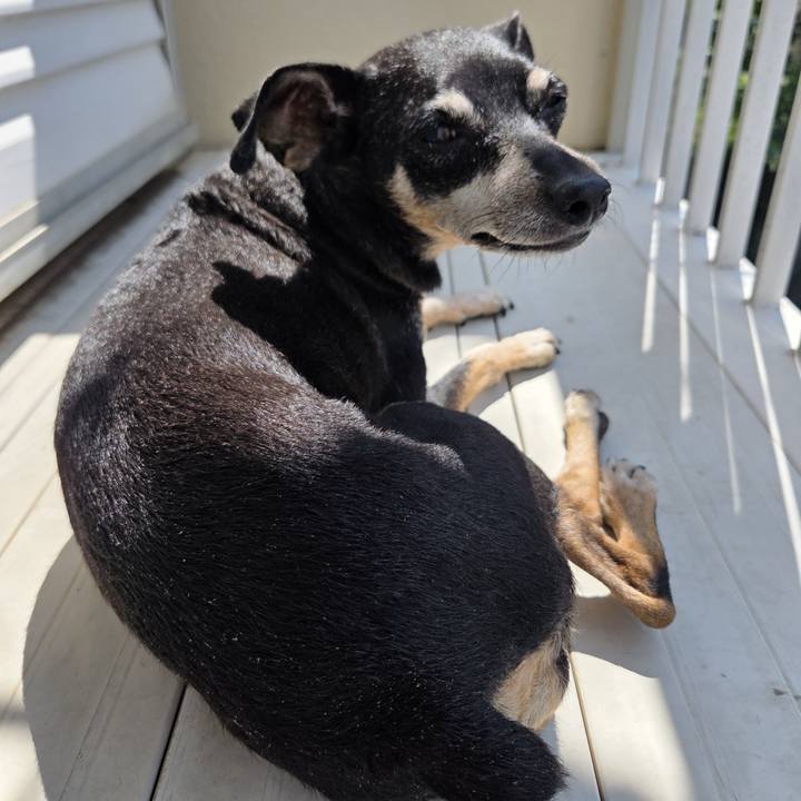 0ba68388 4e06 4961 bdd6 c732fb25c243 1756000429818