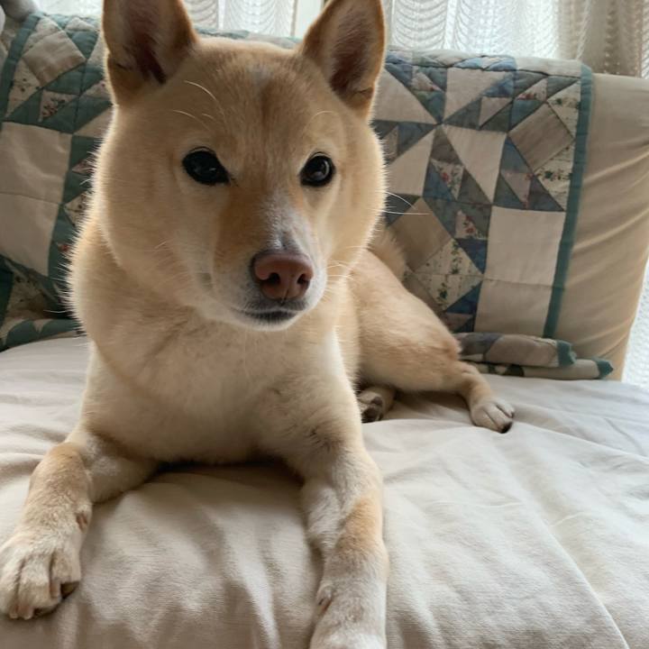 0ba6a4bf 9f12 46c8 86c8 267c18c78ee1 1644882939467