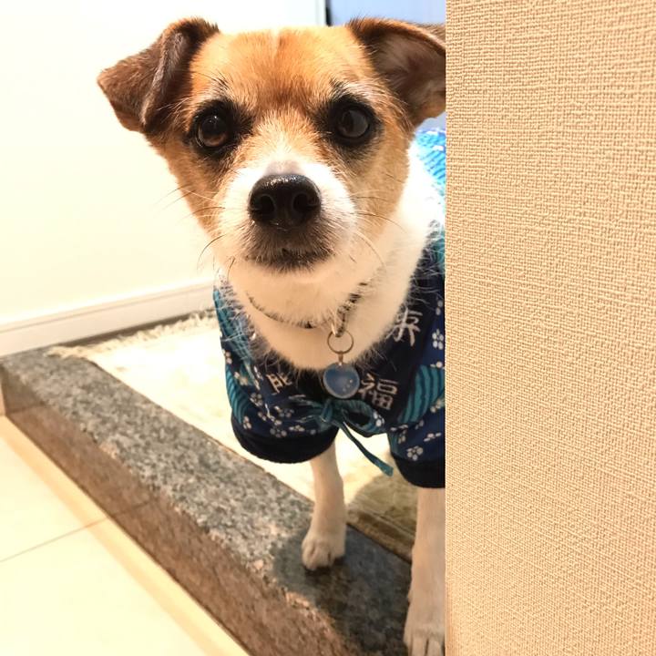 0ba6b89c c000 41b8 bf4f a2dc92471e7d 1546815007447