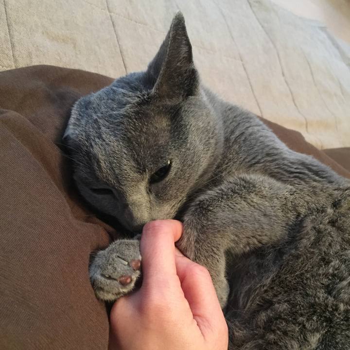 0ba71b55 1f24 48bf 9f6a 357873990d83 1551740835583