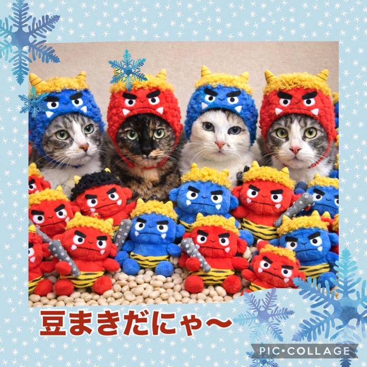 0ba778fd 6d0a 44b8 8ea1 16b05e2c7337 1770128544110