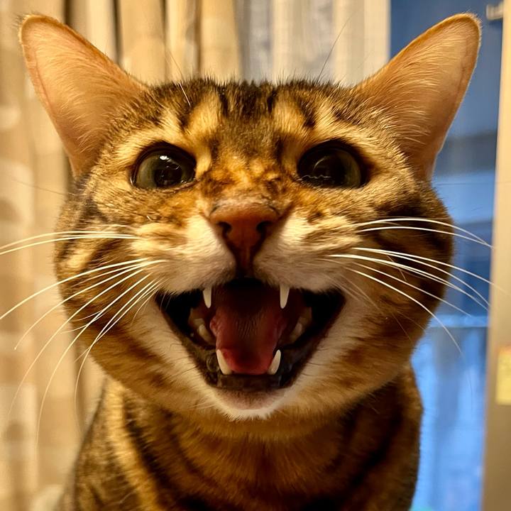 0ba782ac b902 48aa 893b 469a435012c7 1647212238763