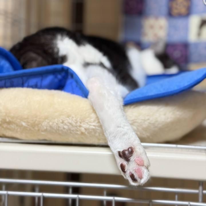 0ba7a8c1 bcd9 4703 93bb 160d2ee51ca7 1762311090852