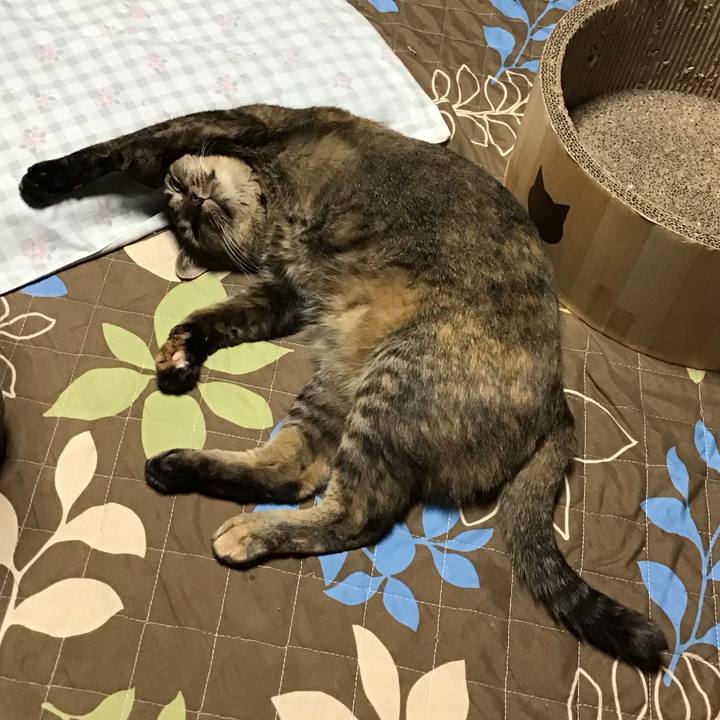 0ba81698 4f8c 4baa bf95 c378c0fa9f45 1728815244060