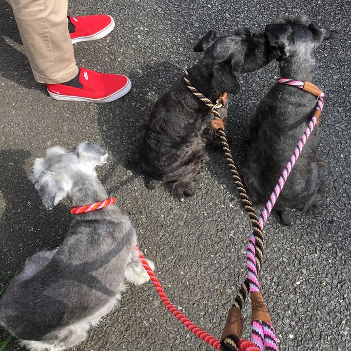 0ba86aaa 2525 42b3 9c39 d61c1a9bc6cd 1507770037715