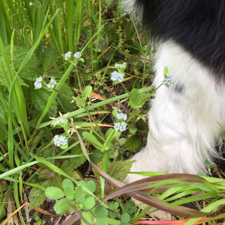 0ba8932d c77d 4de4 8765 9a2e8b041263 1586216812291