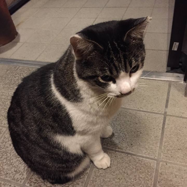 0ba8b21d 8915 48a8 a88d 13c848658224 1509958059823