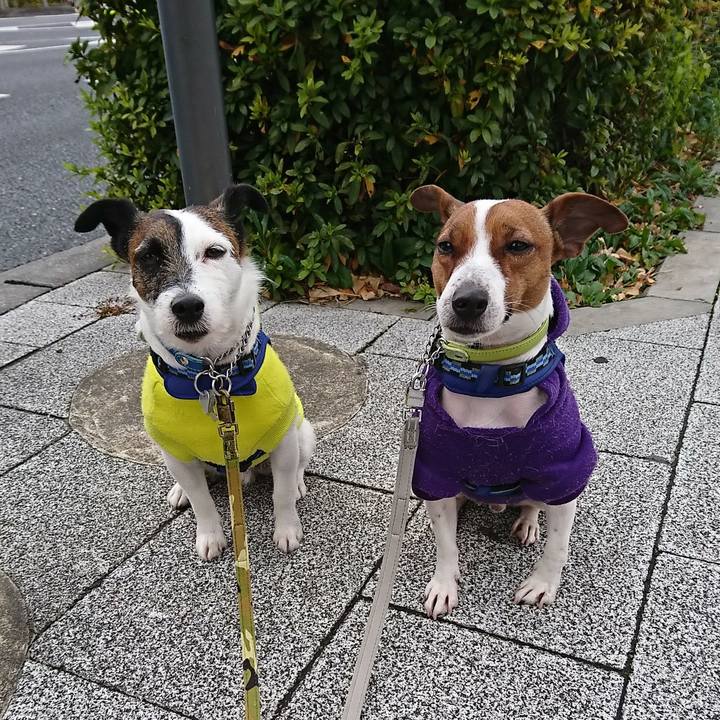 0ba8be6f 24d3 4157 9660 721c4cebd763 1578799427998