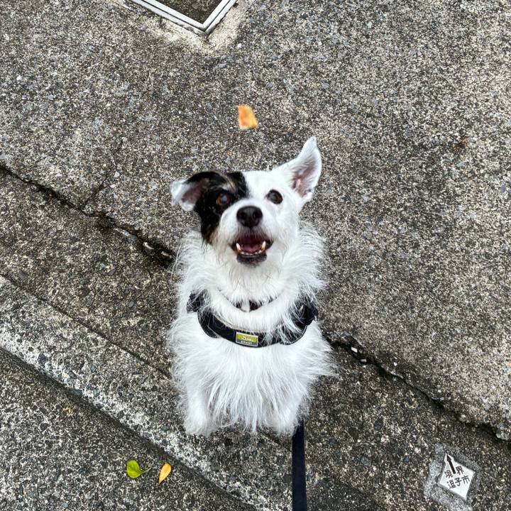 0ba8d9ca 2365 4ce3 b08c e41076f651a4 1761002201491