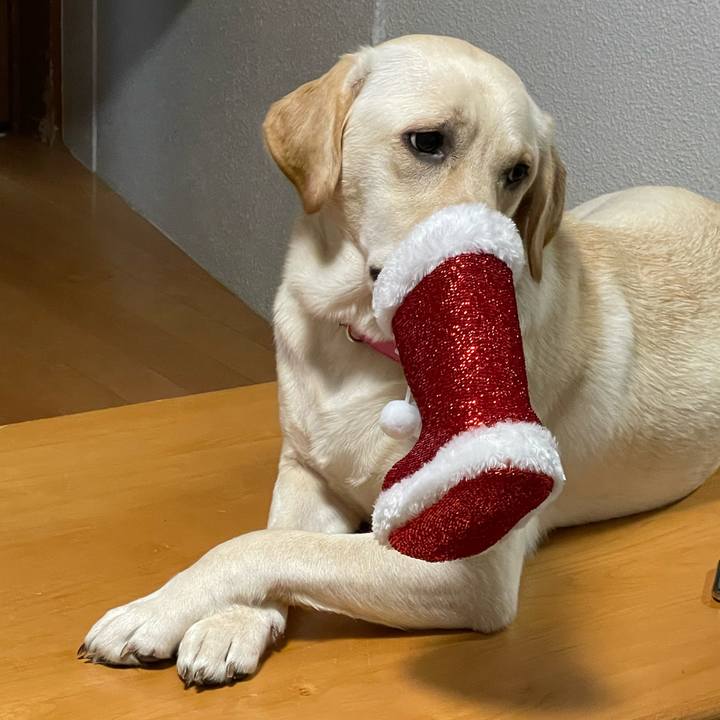 0ba90795 76bb 4659 a5d6 f8fd43e6162a 1640432933249