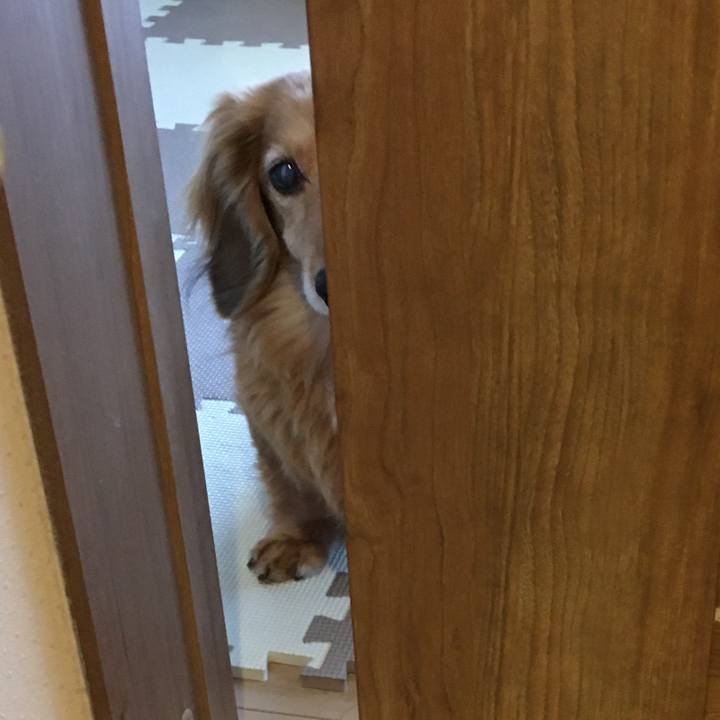 0ba90acf 7522 4f90 9313 cef029c7b96c 1615809021295