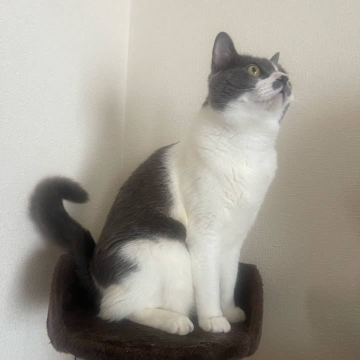 0ba91183 6b28 4dd2 869f d90581b3496d 1719975877067