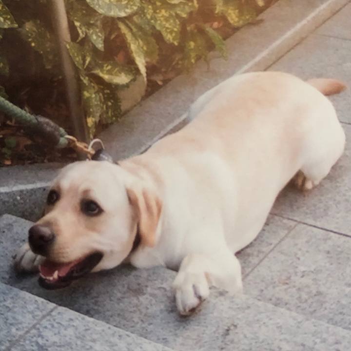 0ba92b55 172d 4ad0 a099 ffe1f983e21b 1573445701810