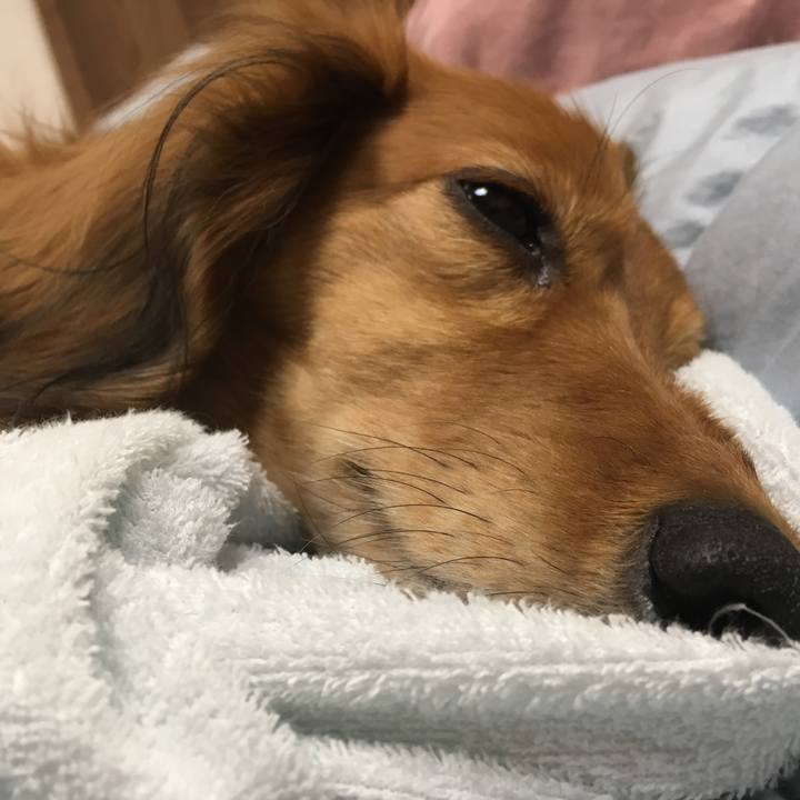 0ba933b2 3aa2 4c4c 9879 b39210f0fd14 1522824589771