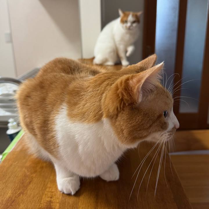 0ba94dc4 e3dd 47e0 a112 2d82cb24d10a 1771467248560