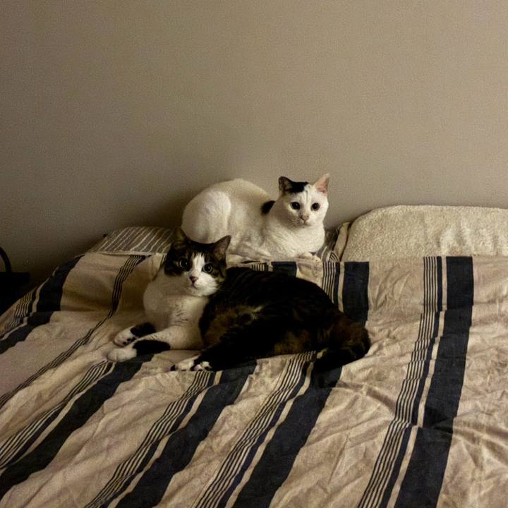 0ba950f1 db0b 4618 9935 48492f92c73e 1755257585497