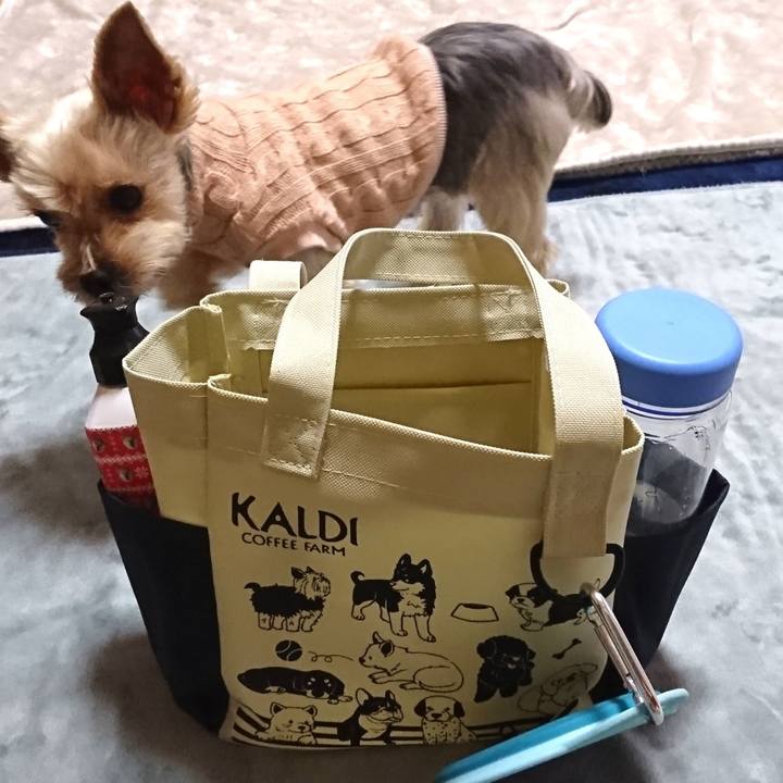 0ba9941b 893f 47aa a01a 9ea7d773a0cd 1541322127557