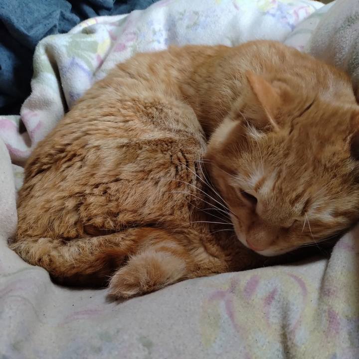 0ba9e4a8 1c1c 43f0 94ca 62de4a6cbca1 1678680064285