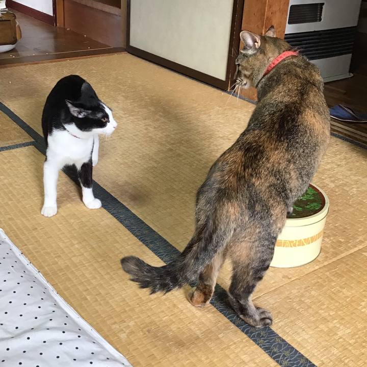 0ba9eb24 d039 4af6 a1b1 dedeb6a57859 1629684837545