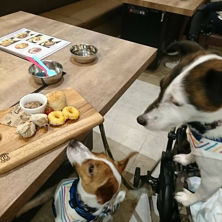 0ba9f0da 1342 4114 bb65 ed5db43524b3 1529473035588