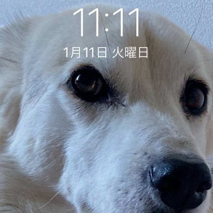 0ba9f19e 5d5c 4263 94f7 6519ed3fca56 1641910428373