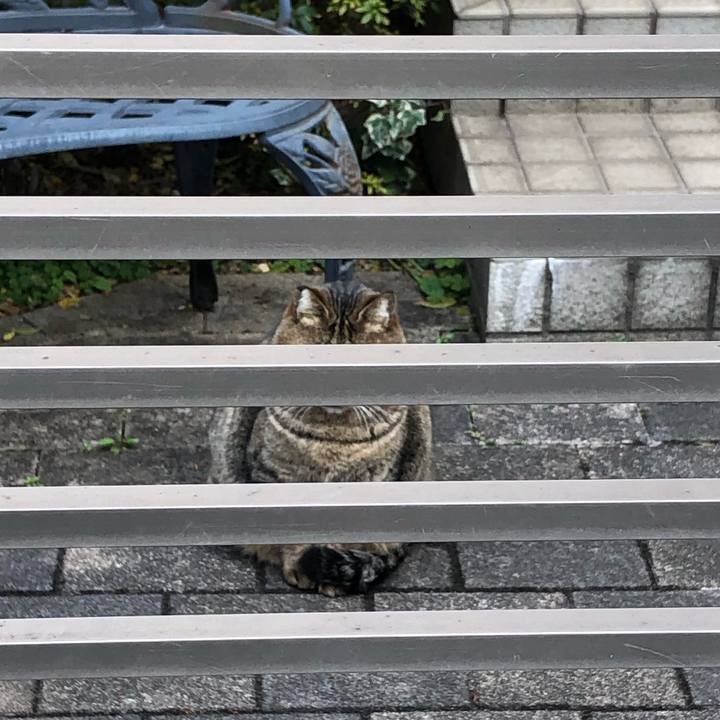 0baa1693 5ab5 48b6 82b3 9c602c72ec48 1612107377182