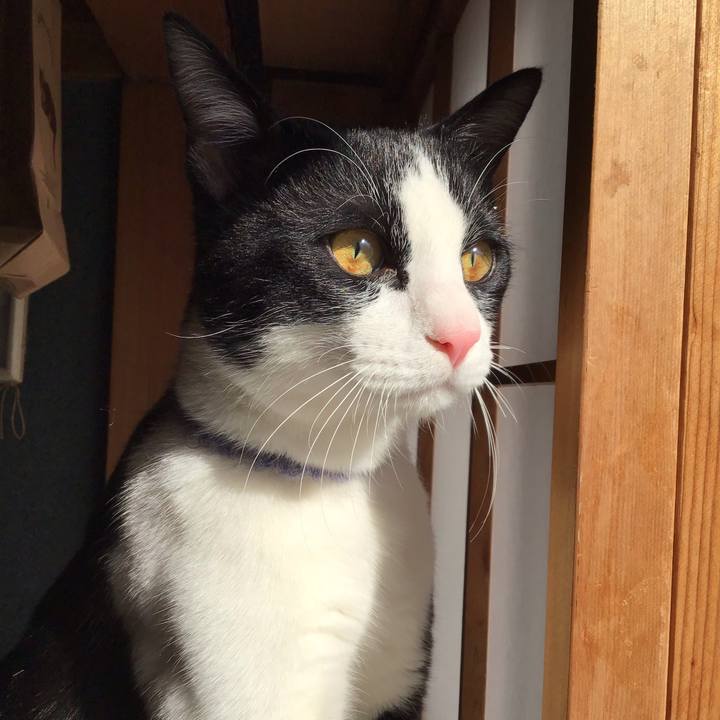 0baa3058 ea24 49ab a8f5 03e1ffce445d 1644109059279