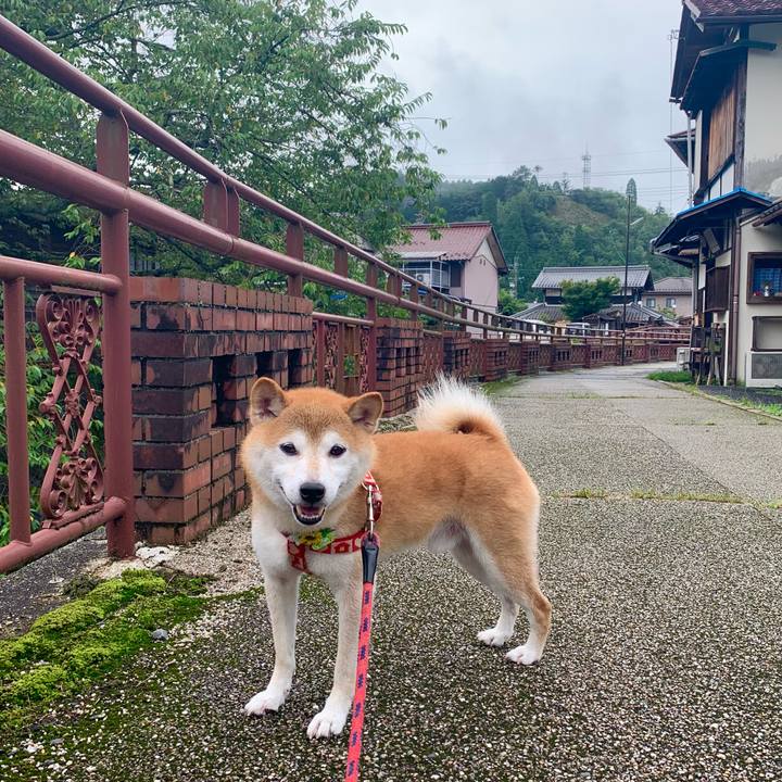 0baa3800 55da 44b5 958d b3b081ce7721 1629108608087