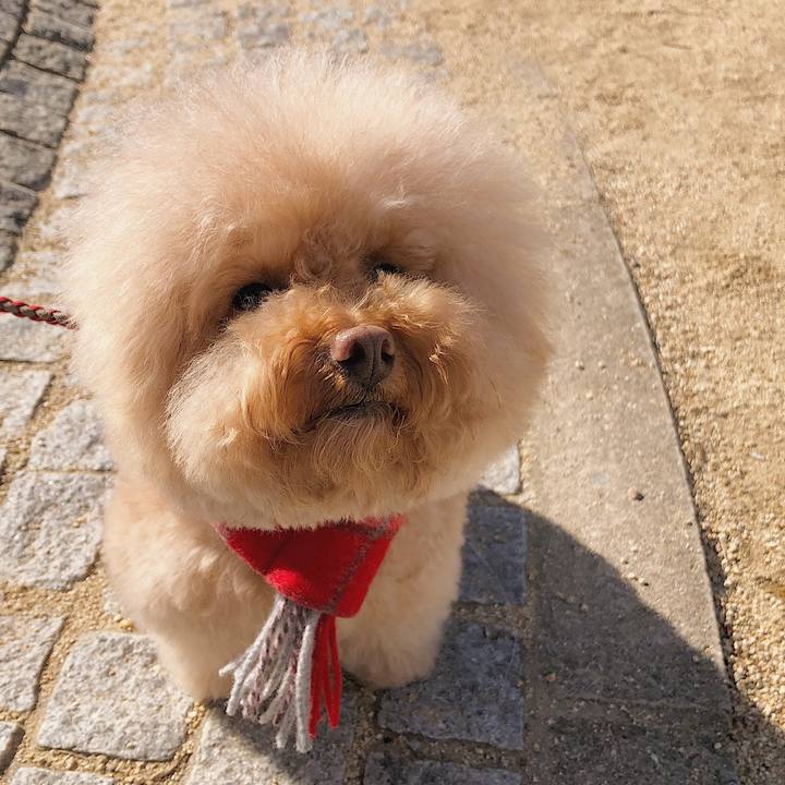 0baa6beb 709a 48ee bb86 5e14b761d47f 1542956379158