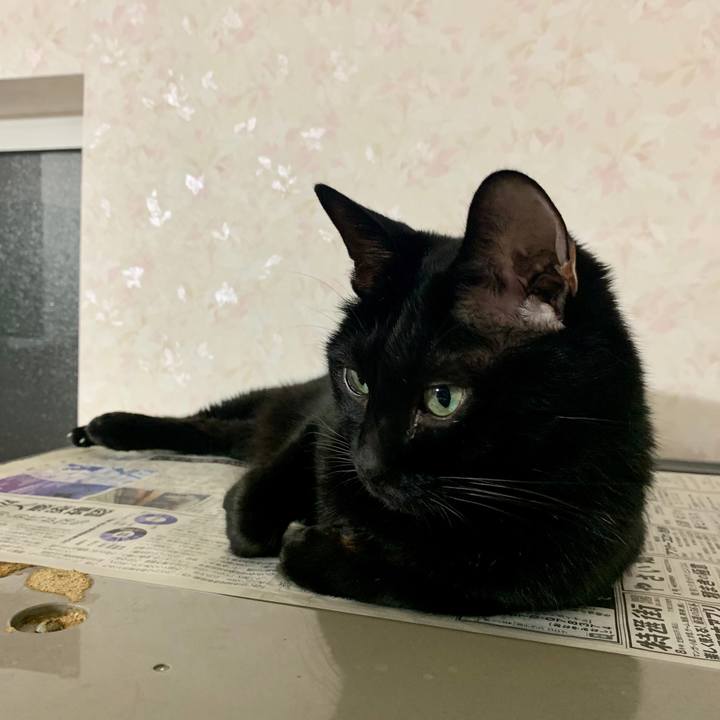 0baabec2 0ebc 4ab8 bc47 a9ae9d2e86f9 1597663550404