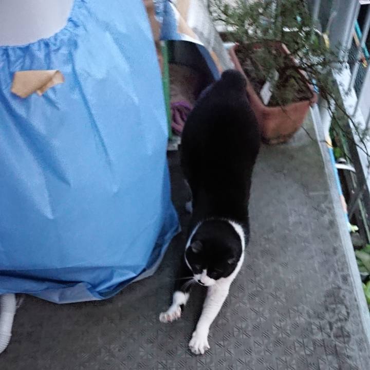 0baac2bd 1a0d 4d69 b6a4 27d4badba918 1548199500291