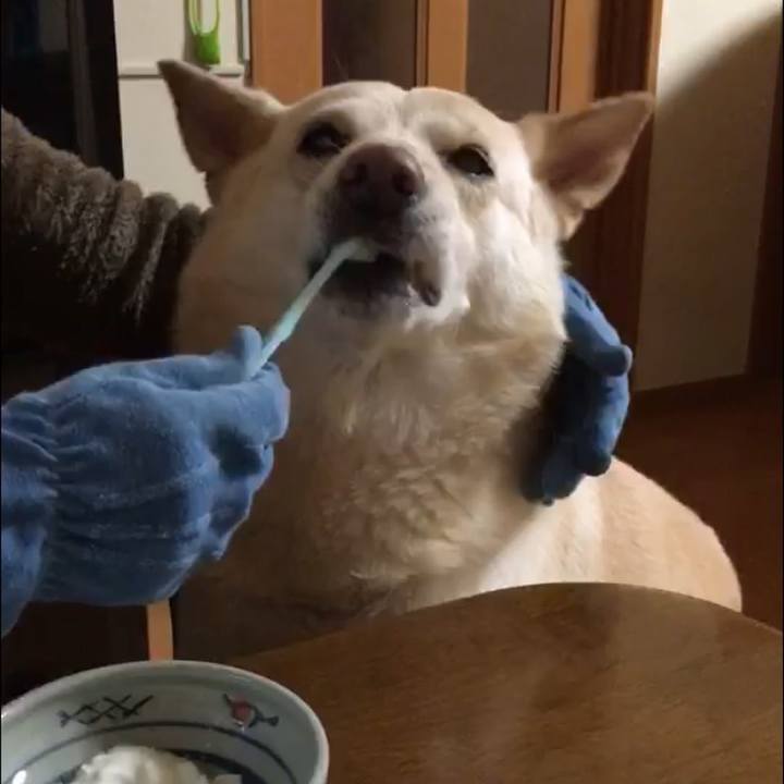 0baae3a1 2c09 4238 aea8 b72b8c7d839f 1512398278007