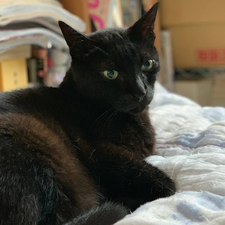 0baafdcf a883 48f6 bd93 2f8b4fa83c6b 1563756526456