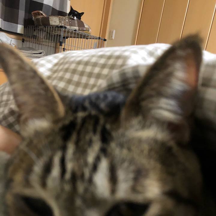 0bab0ca2 cdfe 49f9 924a 0f66b28f51e2 1618259928297