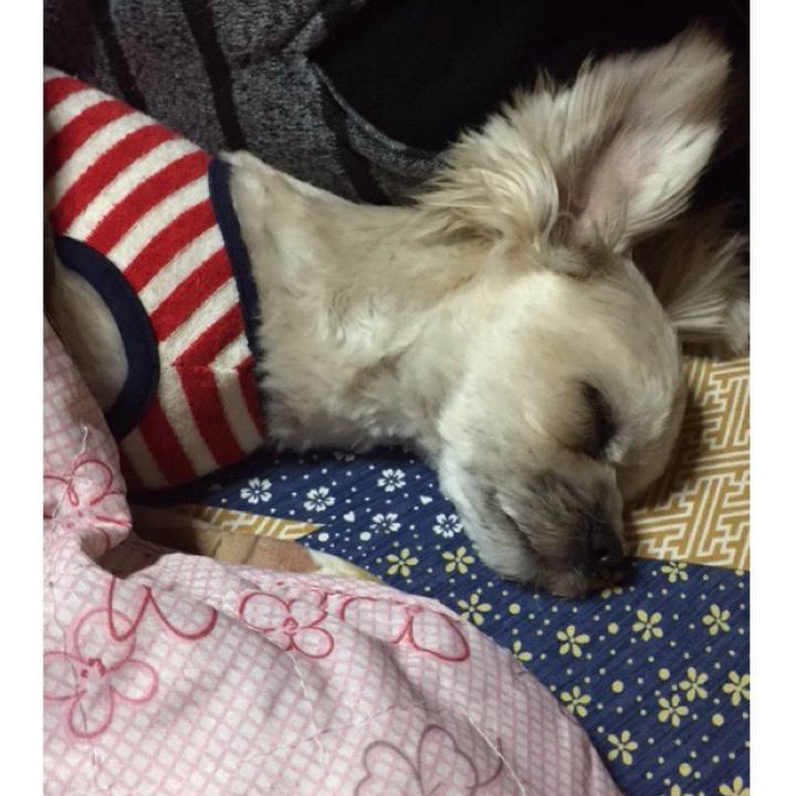 0bab0e7b 705a 4b12 bc13 51318c9873c5 1519644819697