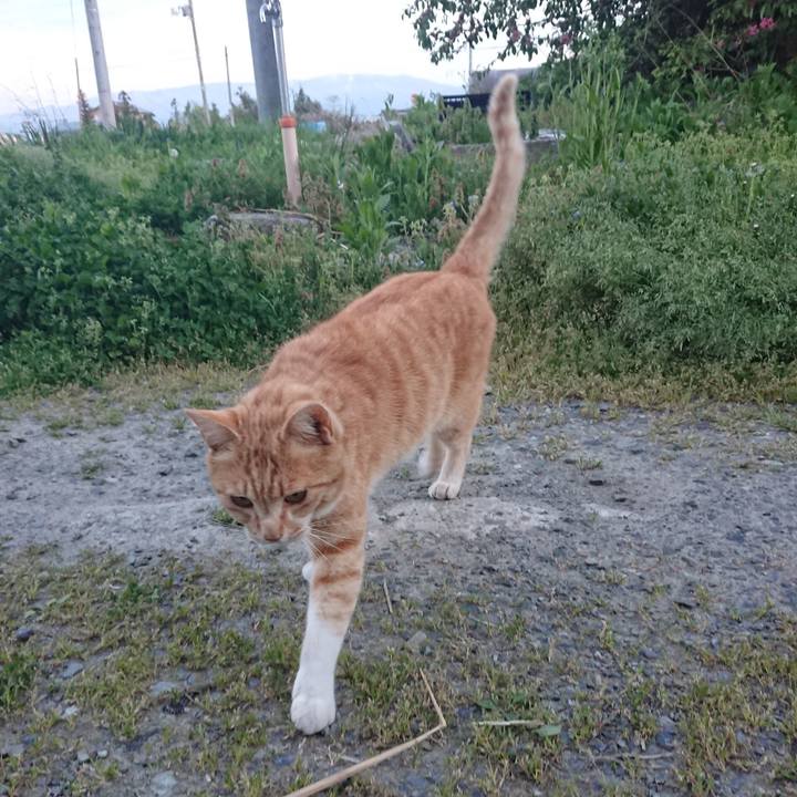 0bab1335 15cc 4fb7 b82c bc4ab7b7965f 1588930527266