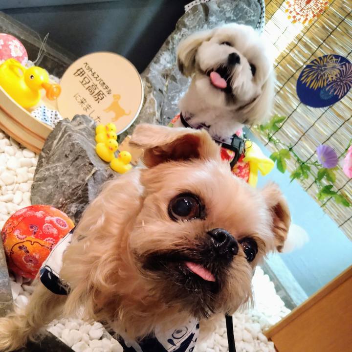 0bab380c 0771 4501 afad 45daa9c7c1ef 1656206572706