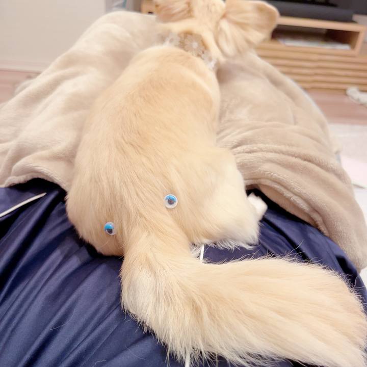 0bab3a42 d1a0 4776 883b 6f4176018620 1687526120611