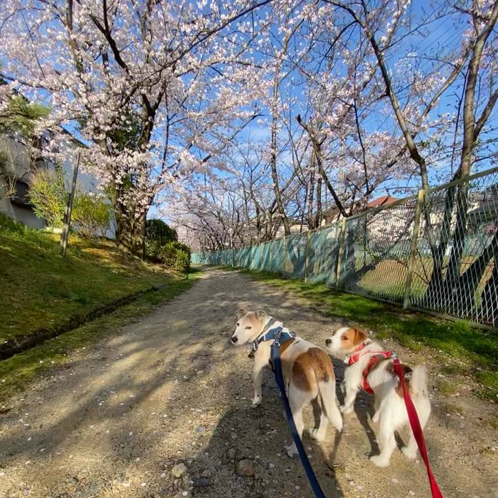 0bab57bd f35e 4e33 99bc 69f4fabac36a 1649025916194