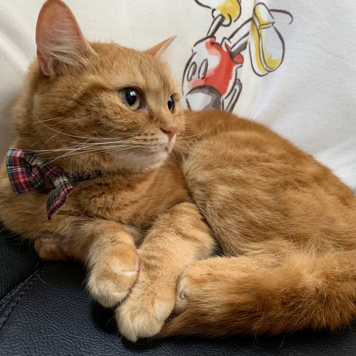 0bab66b2 0b29 4bf5 82bf b9b2223fa21b 1590384791539