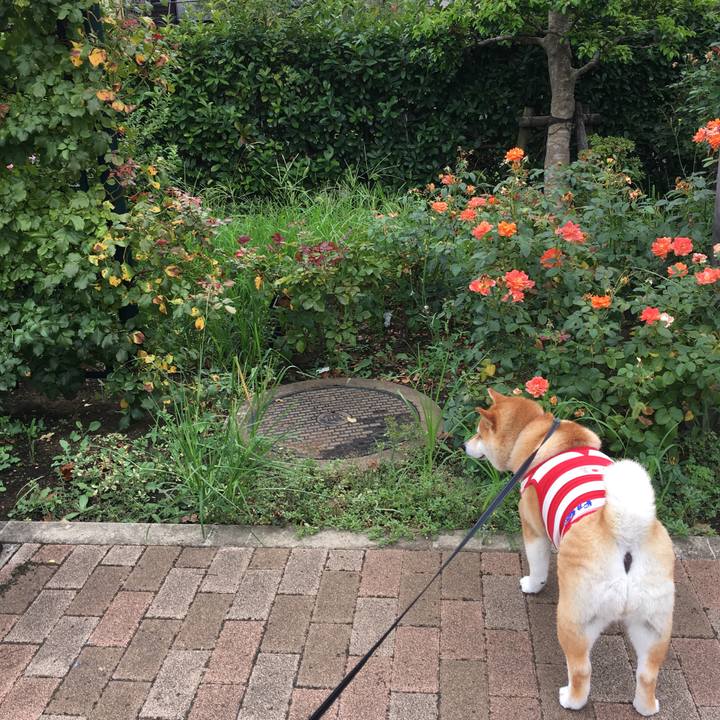 0bab676a 60f3 44d3 b512 fe3355ed3997 1567558286055