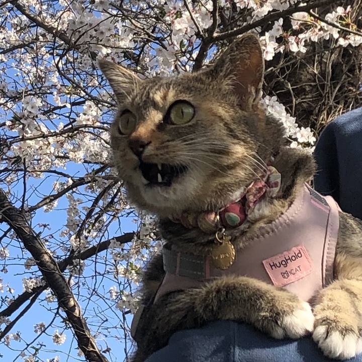 0bab6c3f 44a9 44fd bbc9 f8412ba0e08a 1743924871510