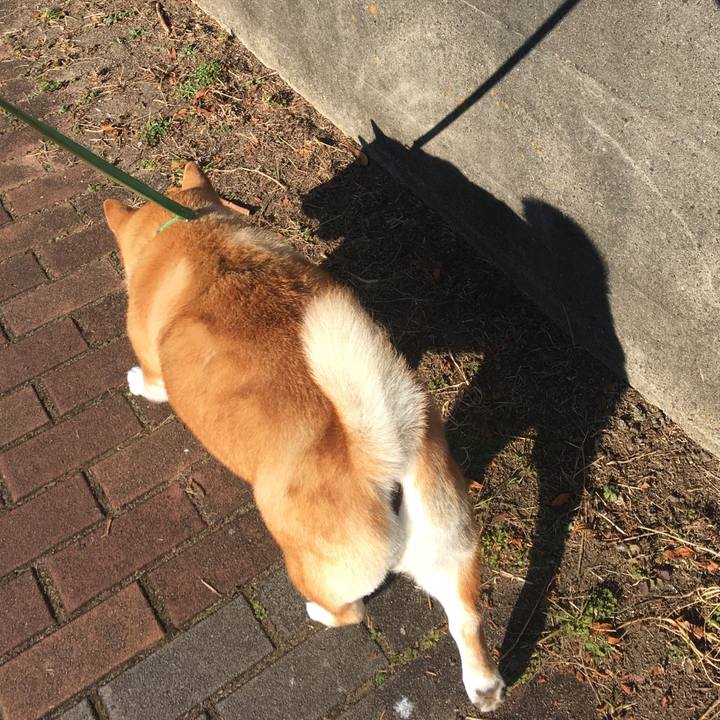 0bab75b9 a79b 4ec1 8b63 be7848a109a6 1607388140536