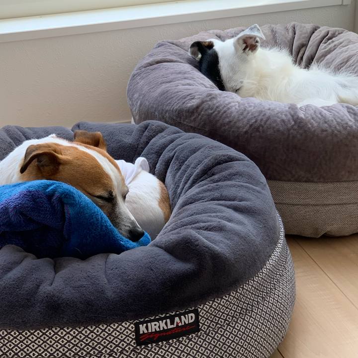 0babda81 a8c5 4dfc a7aa 9b188e07ed70 1587000810038