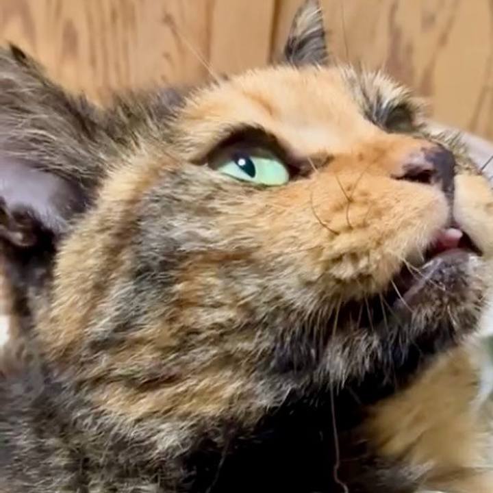 0babdbc8 d502 4a98 a92f d34eb8afd721 1755031435236