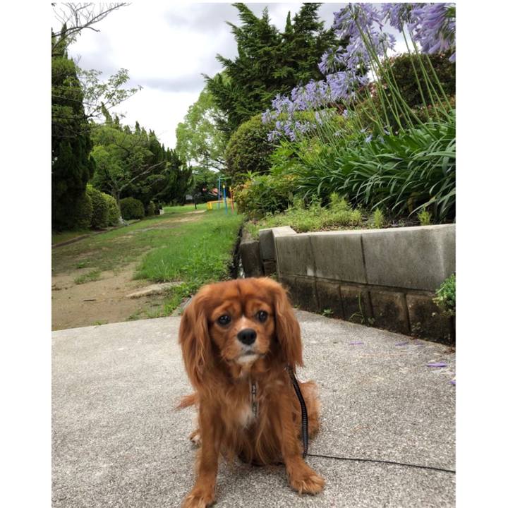 0babe30c e057 43eb 808d 57d3077a224e 1594552398564