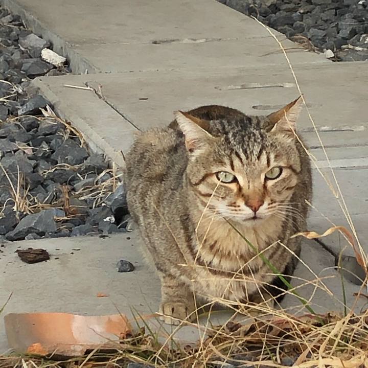 0babe68e 30d8 4158 97ce 4511ddfc6407 1614436741207