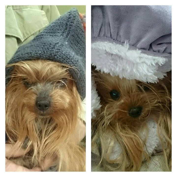 0babf8cf 75e5 4297 b2b3 b6ffaf200f89 1548385128294