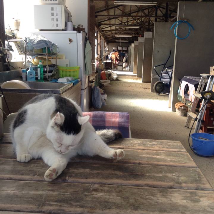 0babf97f f3fd 49dc 9ee4 17c77e143428 1547442216359