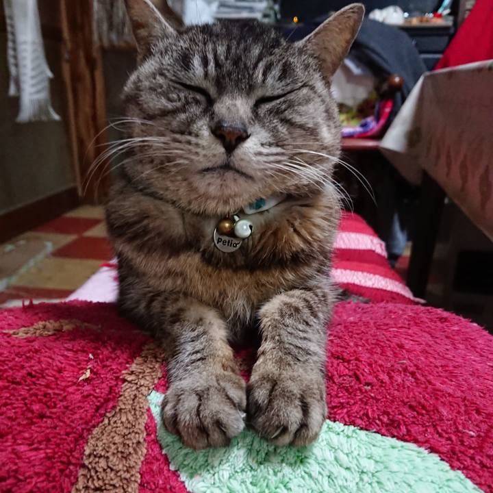 0babfdcd 5dd3 4f57 a140 983f749384ce 1553677826953